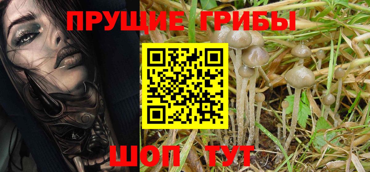 Галлюциногенные грибы Magic Shrooms  Вход с VPN  Камышлов 